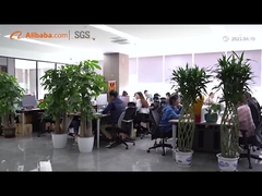 Introduzione della società